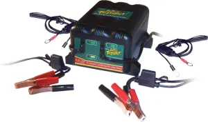 2 Bank Battery Charger and Maintainer, 12 Volt 1.25 AMP for Motorcycles, ATVs, Lawn Mowers