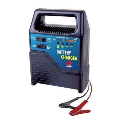 Battery Charger 8A (Rms)