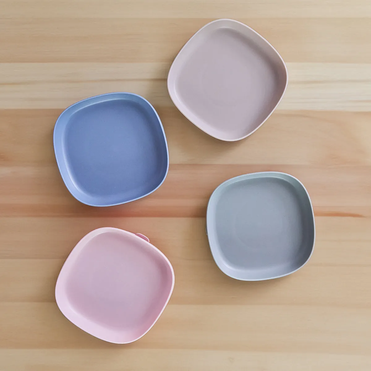 bbox 2 in 1 Suction Plate with Divider - Assorted