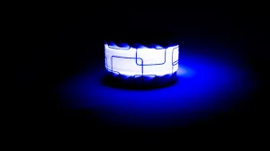 Be Vizible - Snap Band