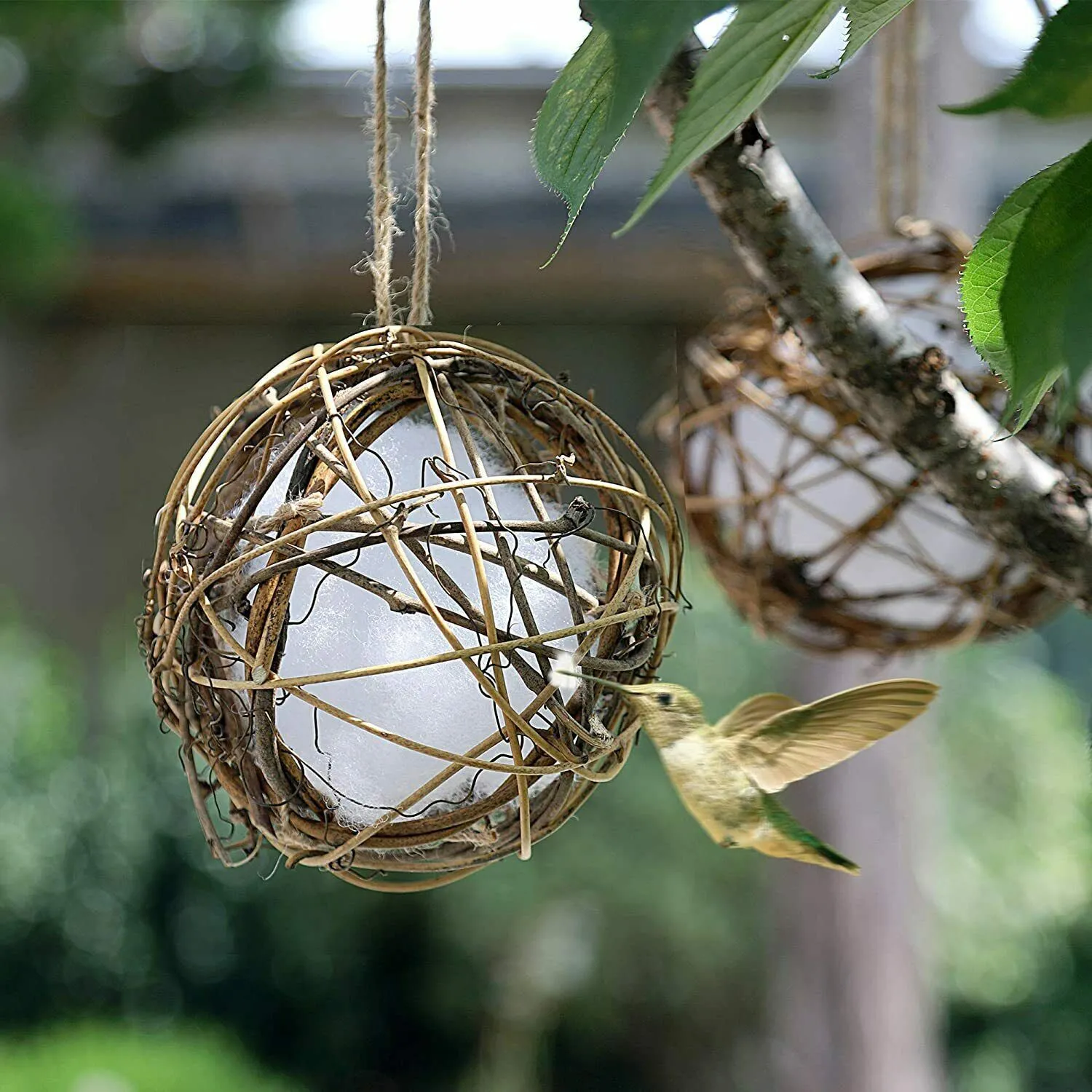 Bird Nester Cotton Dispenser