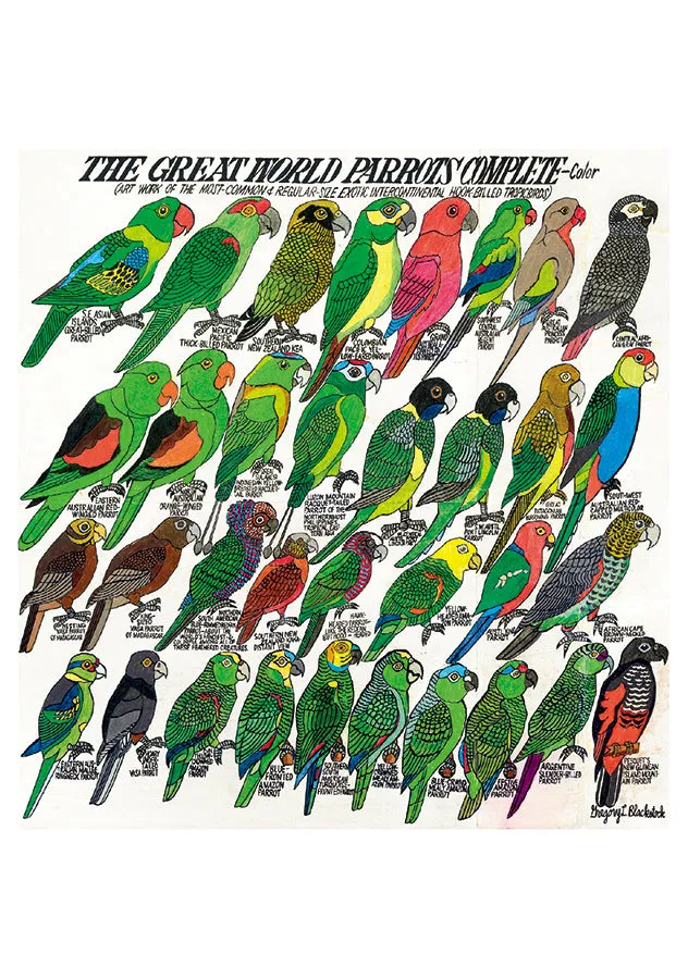 Blackstock’s Birds Boxed Notes