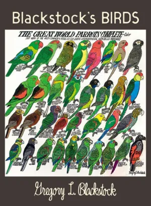 Blackstock’s Birds Boxed Notes