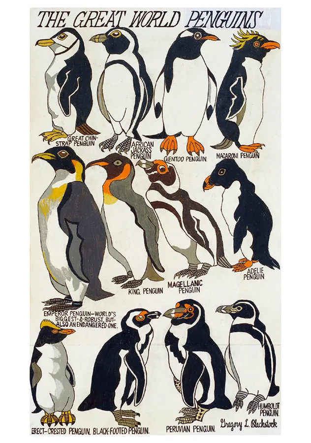 Blackstock’s Birds Boxed Notes