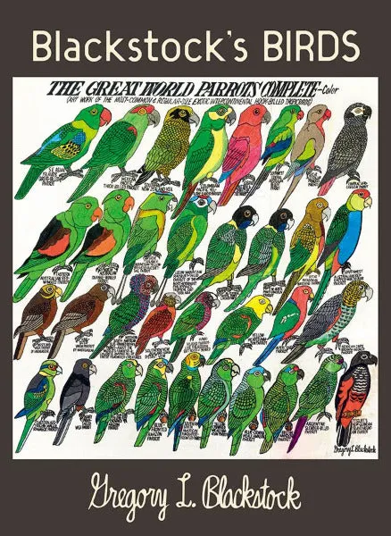 Blackstock’s Birds Boxed Notes