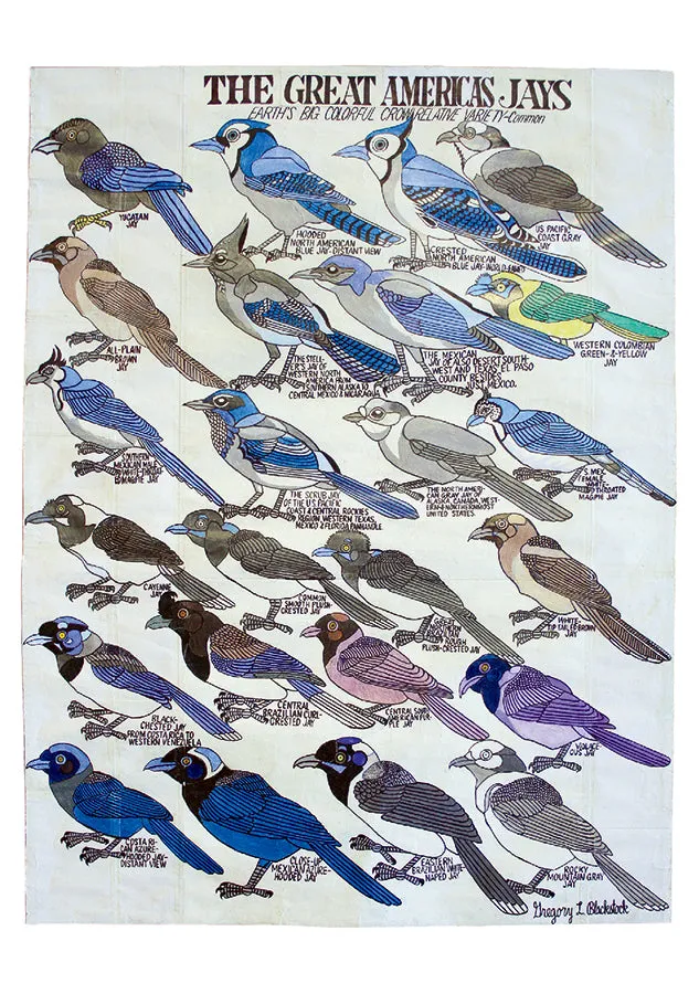 Blackstock’s Birds Boxed Notes
