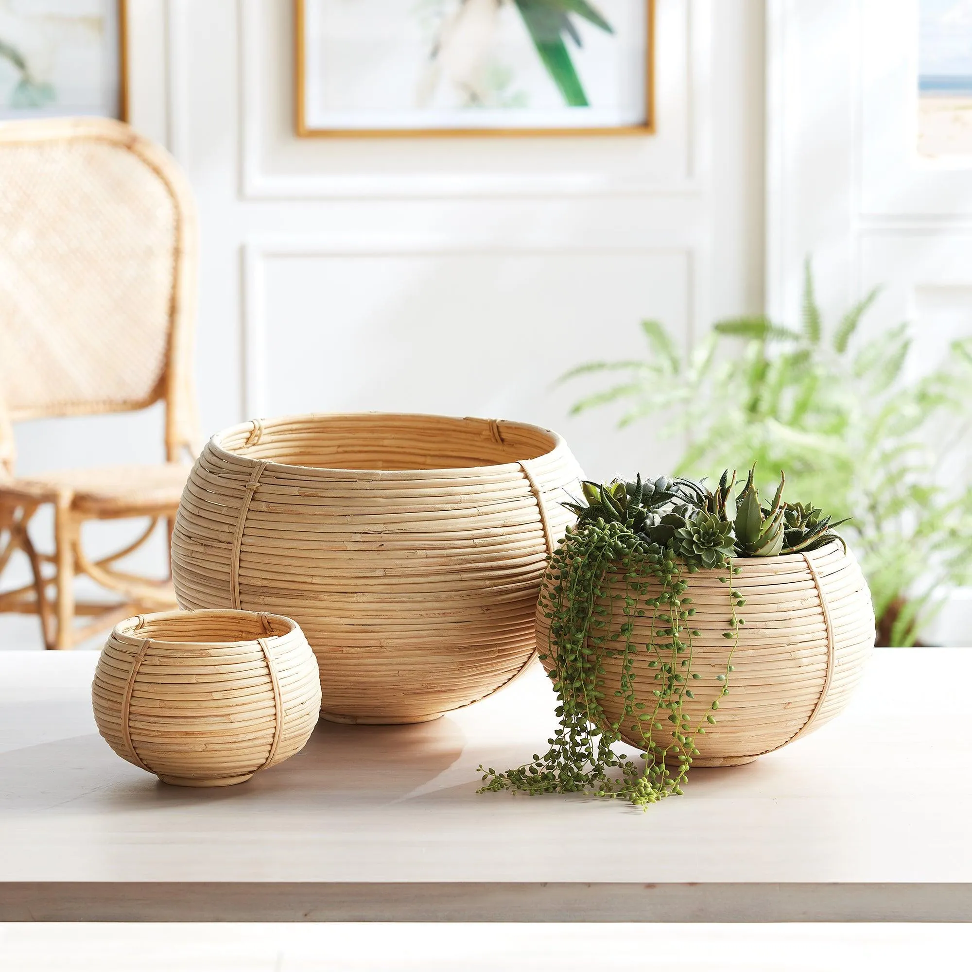Cane Rattan Plant Baskets, Set Of 3