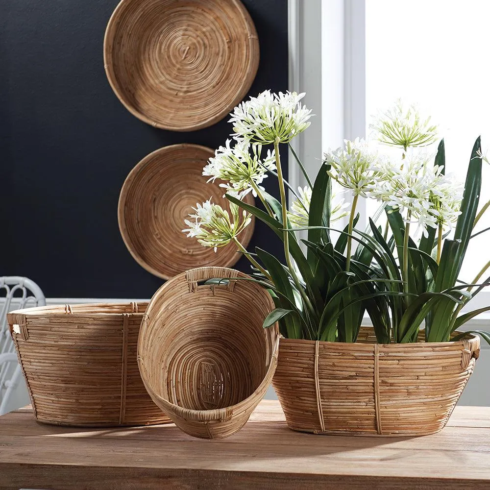 Cane Rattan Rectangular Baskets, Set Of 3