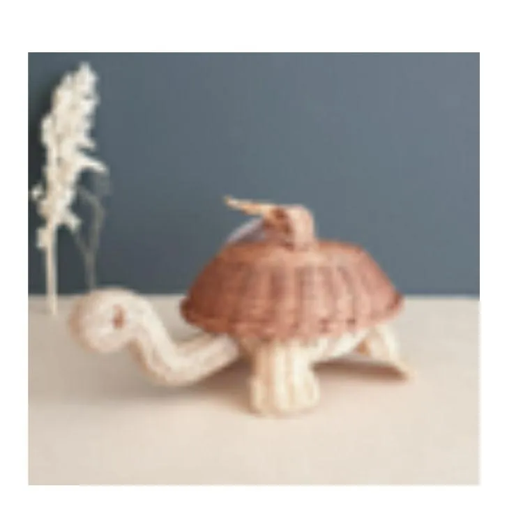 Coconeh Turtle Ayotl