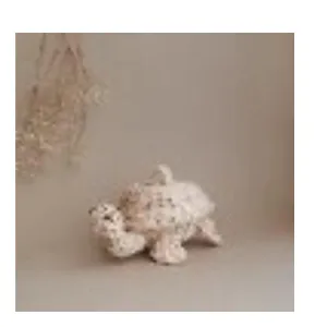 Coconeh Turtle Ayotl