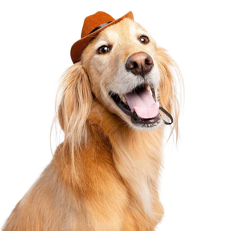 Cowboy Hat for Pets