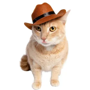 Cowboy Hat for Pets