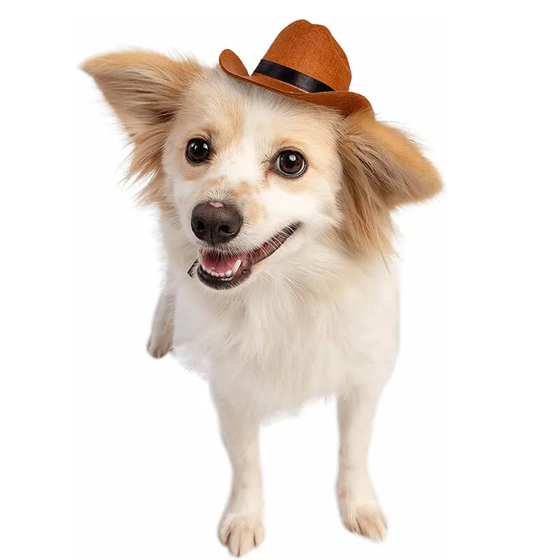 Cowboy Hat for Pets