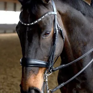 Curated Mix & Match Sizes Taper Leather Noseband Weymouth Bridle with flat or rolled cheeks by Bridle2Fit