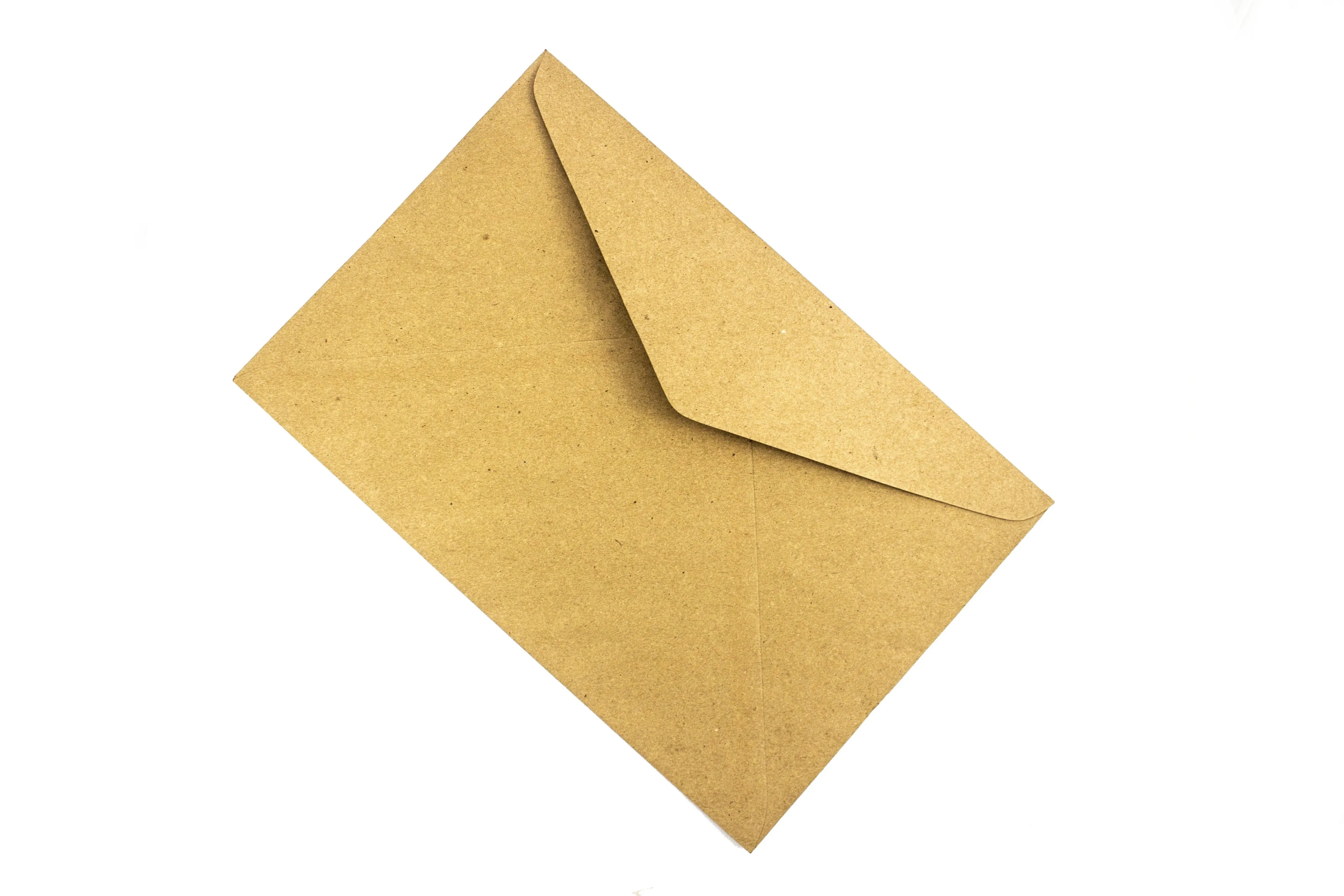 Document Brown Envelope 10x15in