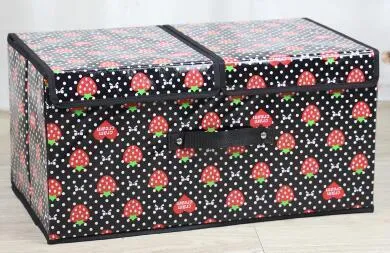 Double cover large capacity storage box