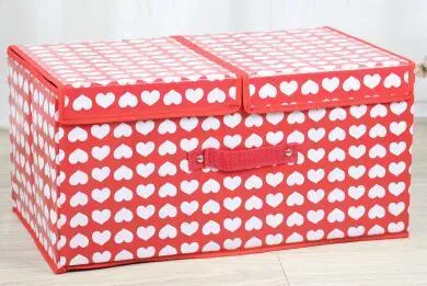 Double cover large capacity storage box