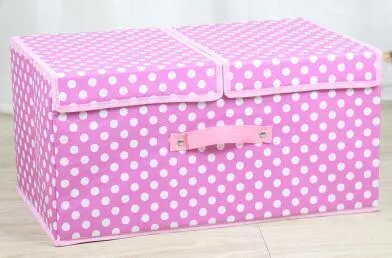 Double cover large capacity storage box