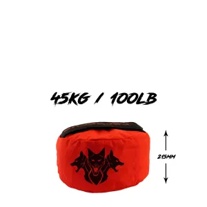 Dual-Ply Sandbag