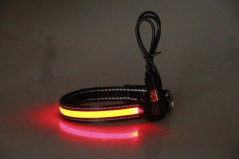 LED Dog and Cat Collar USB Rechargeable