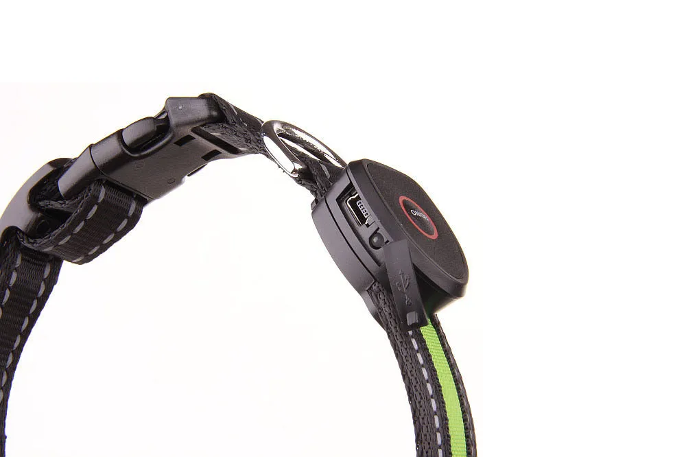 LED Dog and Cat Collar USB Rechargeable