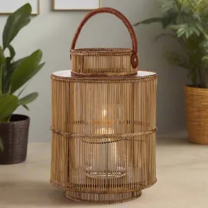 LIANA LANTERN