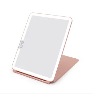 Light Up Mirror Rose Gold