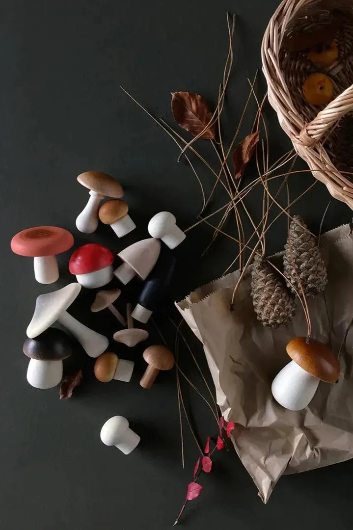 Moon Picnic - Forest Mushrooms Basket