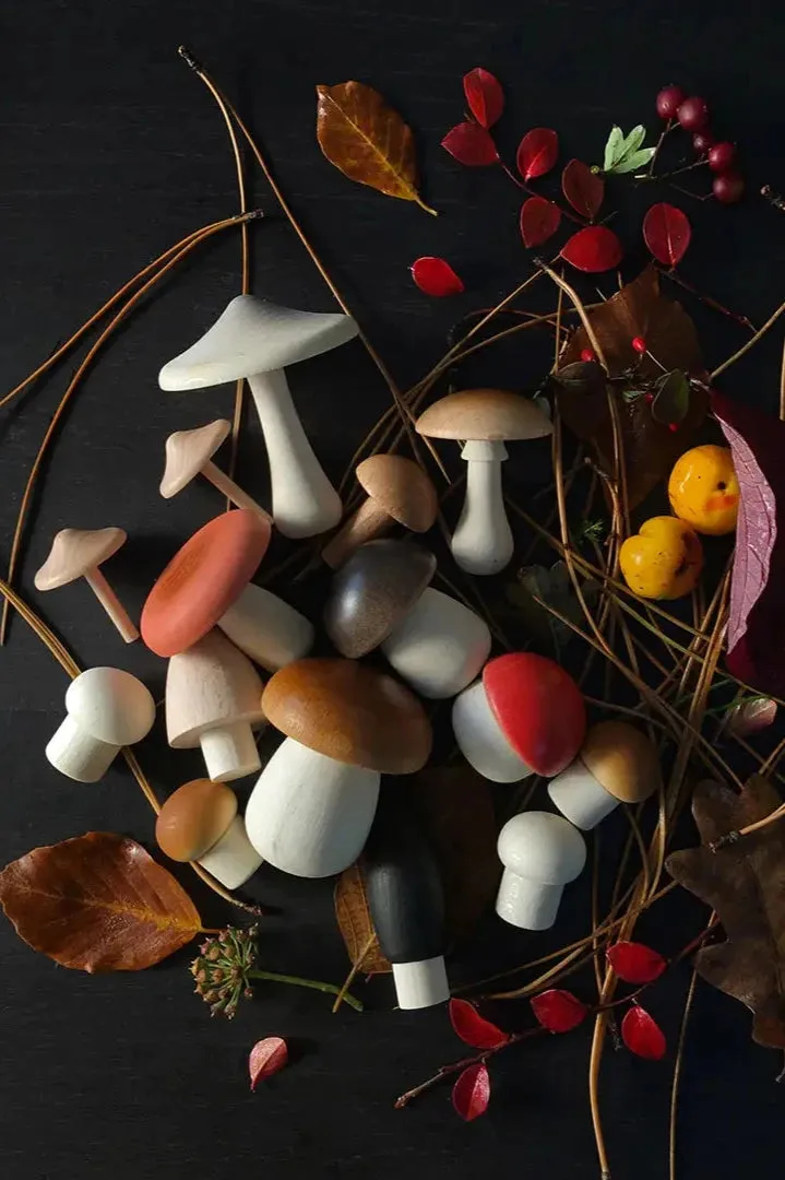 Moon Picnic - Forest Mushrooms Basket