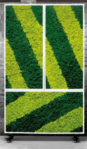 Moss Divider