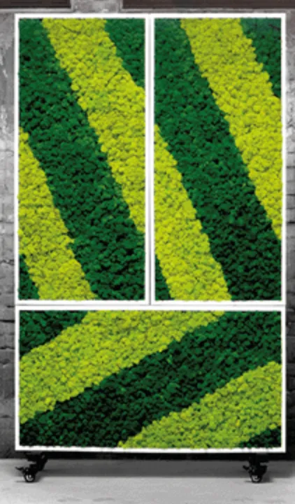 Moss Divider