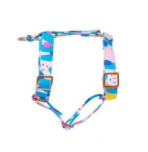 Ocean squidge strap harness
