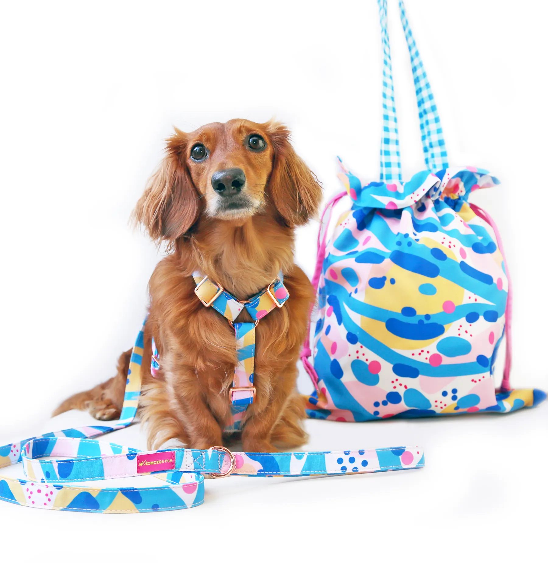 Ocean squidge strap harness