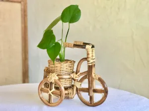 Rattan Bike Planter