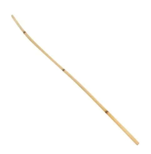 Rattan Cane