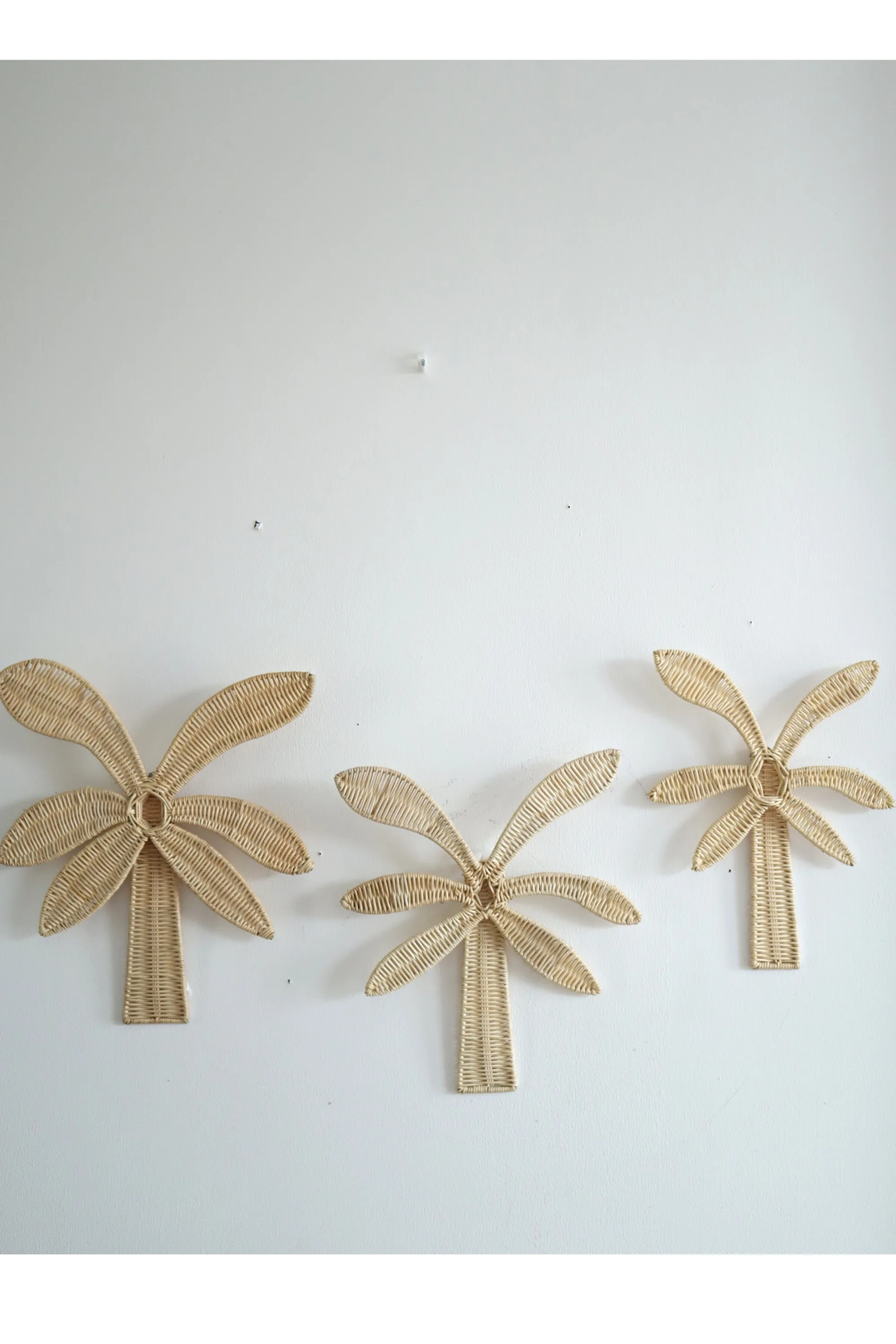 Rattan Palm Tree Wall Decor