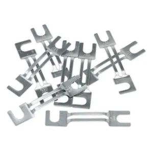 Sealey Fuse 100A 99 x 20mm Large Pack of 10