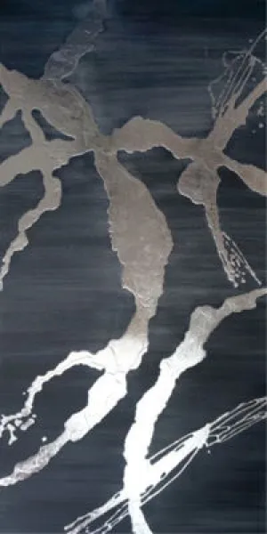 SILVER SILHOUETTE I 40X80