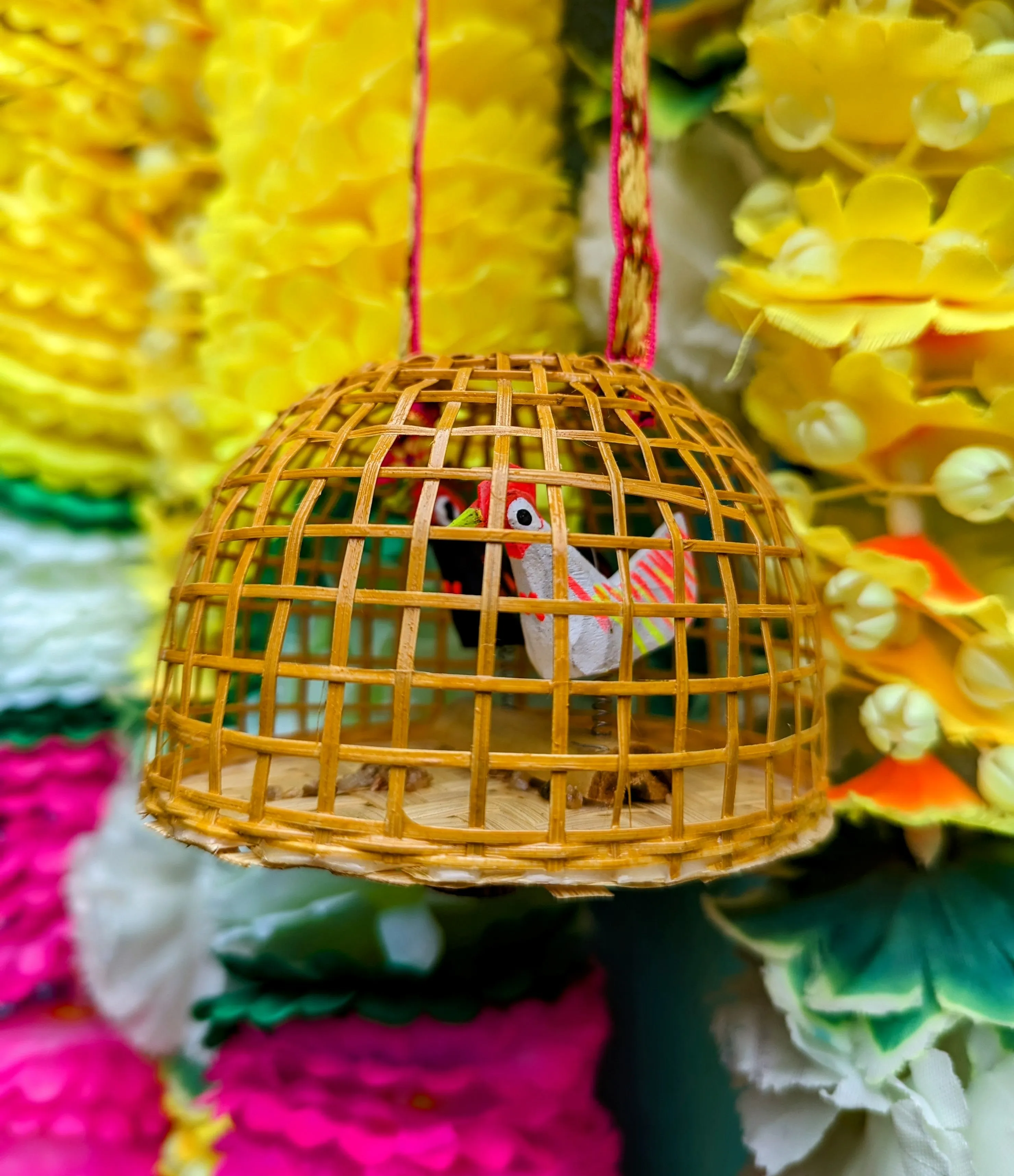 Springy chickens in a coop