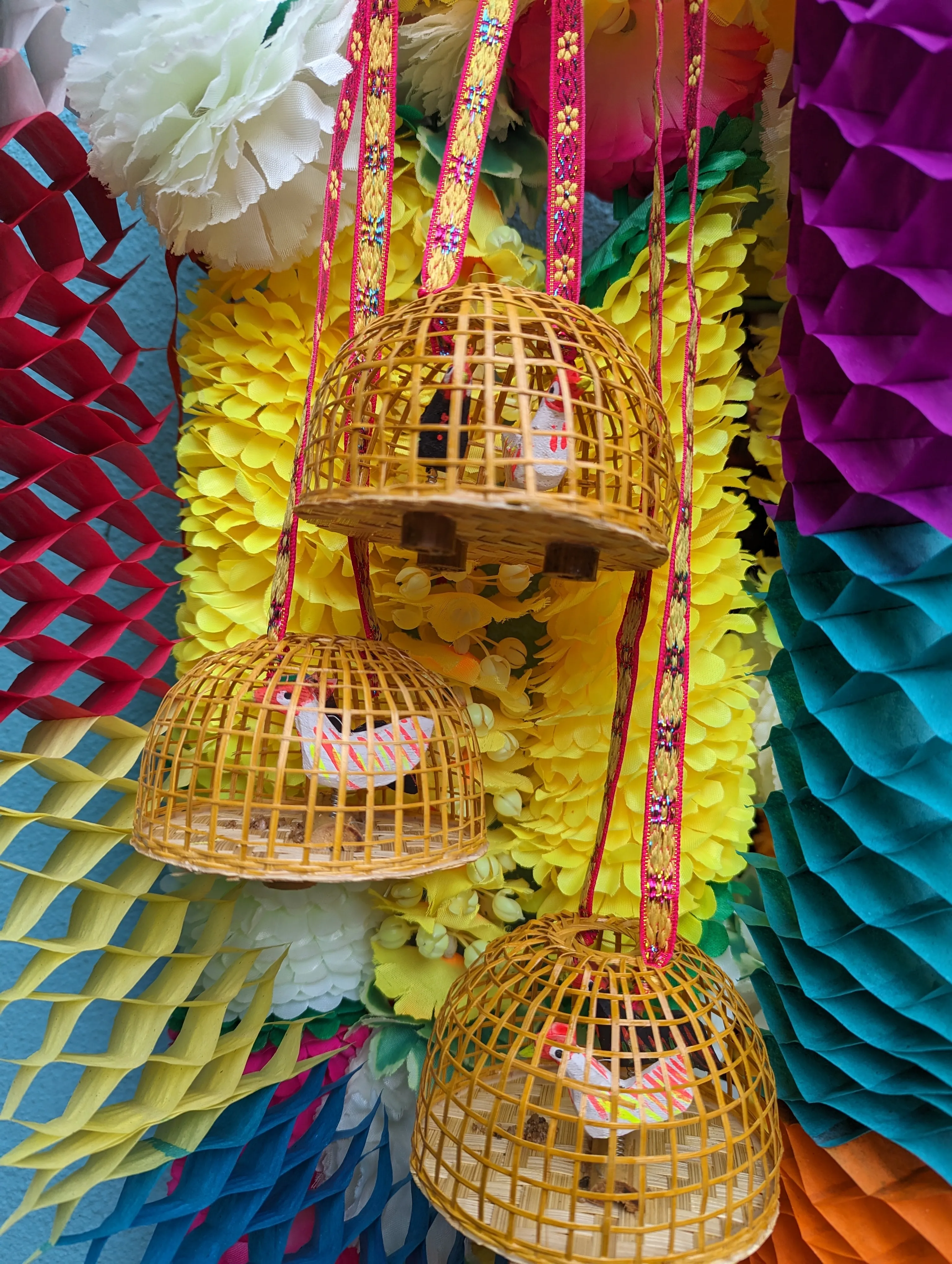 Springy chickens in a coop