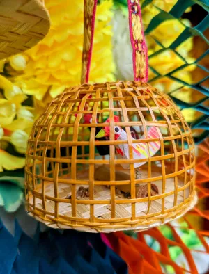 Springy chickens in a coop