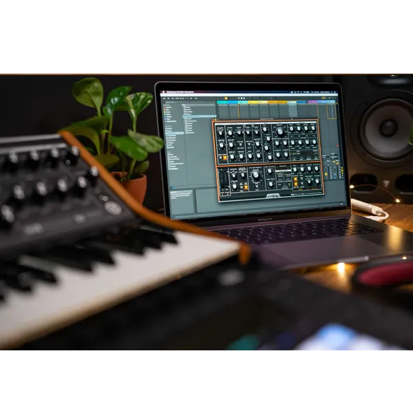 Subsequent 25