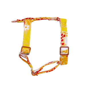 Sun-kissed strap harness