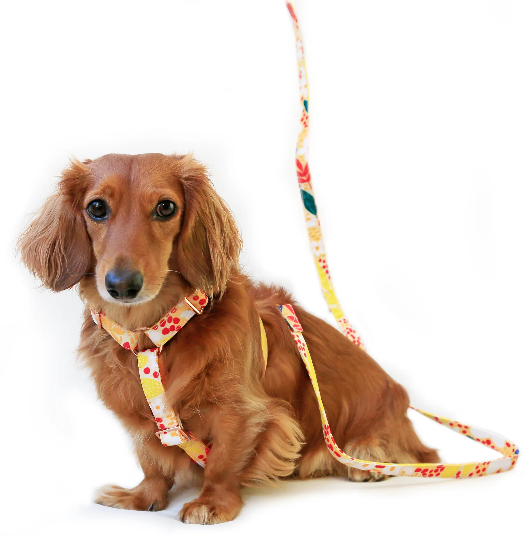 Sun-kissed strap harness
