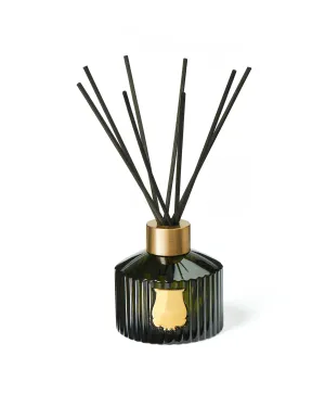 the diffuser