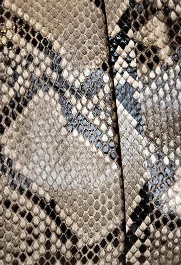 The Micro Classified Python Chain Tote