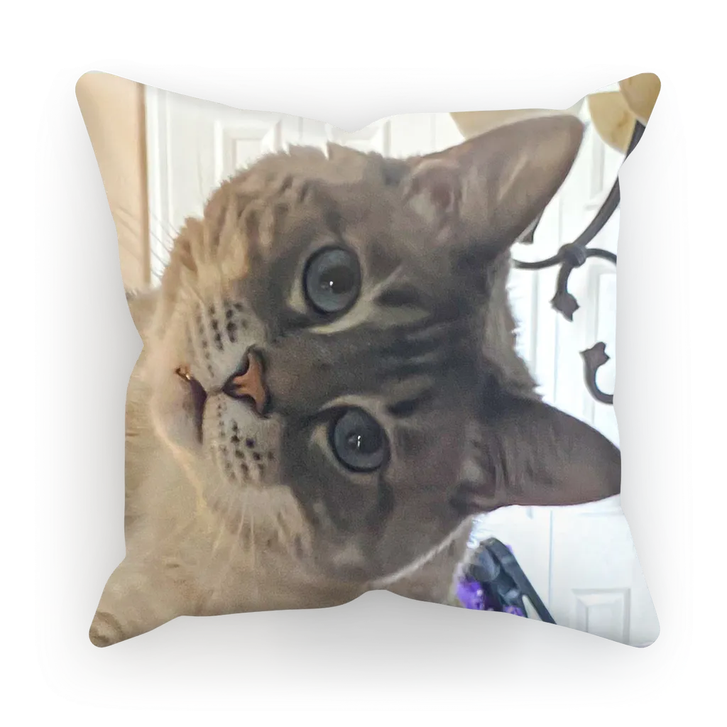 Throw Pillow/Cushion Cover - Siamese Cat - Rescue Pets - Chena