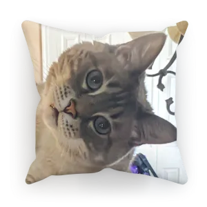 Throw Pillow/Cushion Cover - Siamese Cat - Rescue Pets - Chena