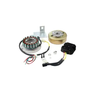 XSCharge™ XS650 Permanent Magnet Alternator Kit PMA (Fits All Years)
