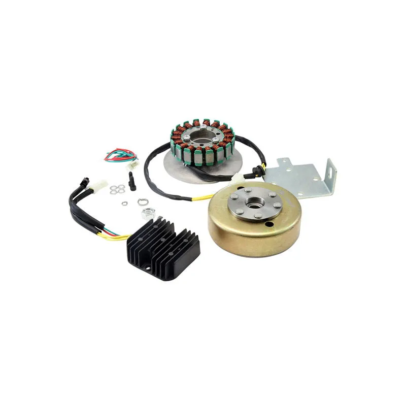 XSCharge™ XS650 Permanent Magnet Alternator Kit PMA (Fits All Years)